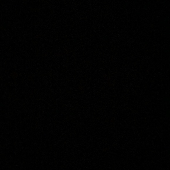 Meet your Posher, Logan - Picture 1 of 1